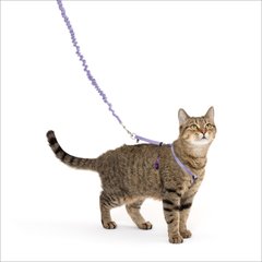 PetSafe Come with Me Kitty Nylon Cat Harness & Bungee Leash, Lilac/Deep Purple, Medium: 10.5 to 14-in chest