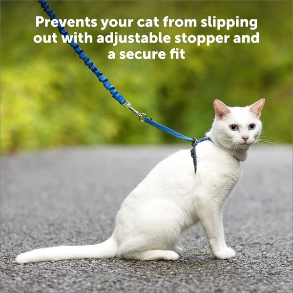 PetSafe Come with Me Kitty Nylon Cat Harness & Bungee Leash