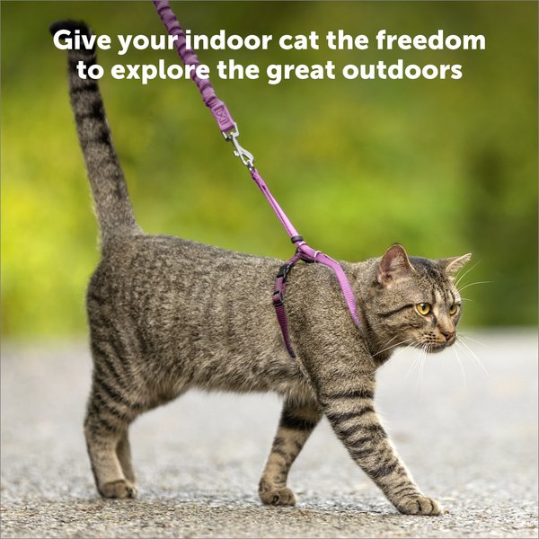 PetSafe Come with Me Kitty Nylon Cat Harness & Bungee Leash