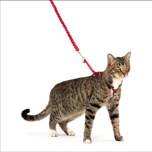 PetSafe Come with Me Kitty Nylon Cat Harness & Bungee Leash, Red/Black, Large: 13 to 18-in chest