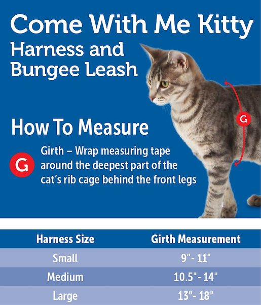 Show full view: PetSafe Come with Me Kitty Nylon Cat Harness & Bungee Leash, Red/Black, Medium: 10.5 to 14-in chest slide 7 of 10