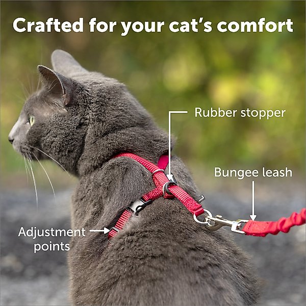 Show full view: PetSafe Come with Me Kitty Nylon Cat Harness & Bungee Leash, Red/Black, Medium: 10.5 to 14-in chest slide 4 of 10
