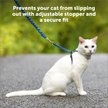 Show in main carousel: PetSafe Come with Me Kitty Nylon Cat Harness & Bungee Leash, Red/Black, Medium: 10.5 to 14-in chest slide 3 of 10
