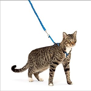Travel Cat The True Adventurer Reflective Cat & Kitten Harness & Leash