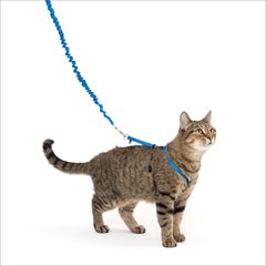 PetSafe Come with Me Kitty Nylon Cat Harness & Bungee Leash, Royal Blue/Navy, Medium: 10.5 to 14-in chest