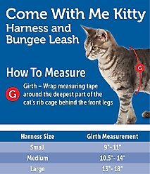 PetSafe Come with Me Kitty Nylon Cat Harness & Bungee Leash, Royal Blue/Navy, Medium: 10.5 to 14-in chest slide 2 of 7