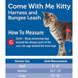 PetSafe Come with Me Kitty Nylon Cat Harness & Bungee Leash, Royal Blue/Navy, Medium: 10.5 to 14-in chest