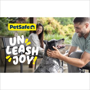 PetSafe Dog Training Lead, Black, 30-ft long, 5/8-in wide
