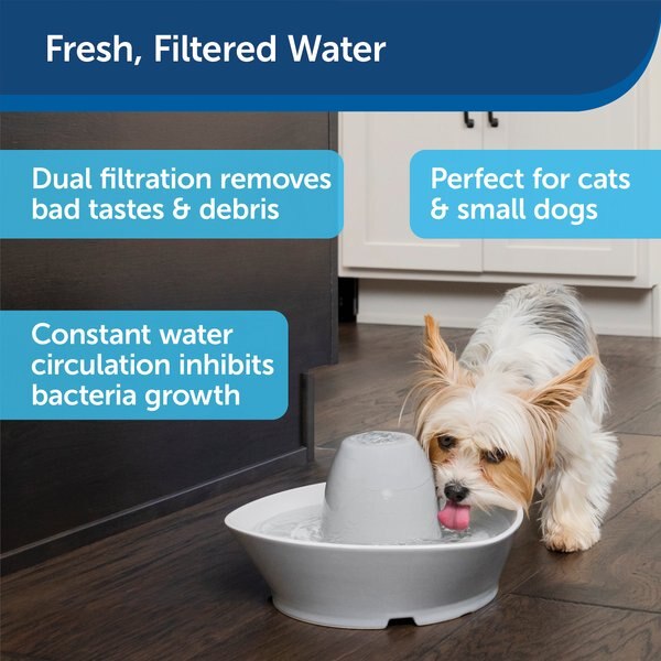 PetSafe Creekside Quiet Dog & Cat Fountain, 60-oz