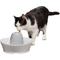Show in main carousel: PetSafe Creekside Quiet Dog & Cat Fountain, 60-oz slide 8 of 12