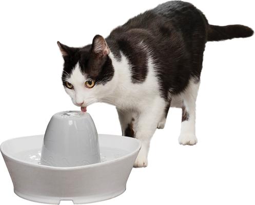 Show full view: PetSafe Creekside Quiet Dog & Cat Fountain, 60-oz slide 8 of 12
