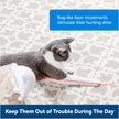 Show in main carousel: PetSafe Dancing Dot Laser Cat Toy slide 2 of 8