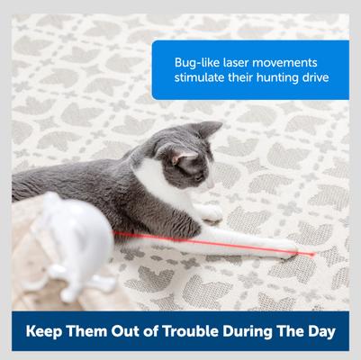 Show full view: PetSafe Dancing Dot Laser Cat Toy slide 2 of 8