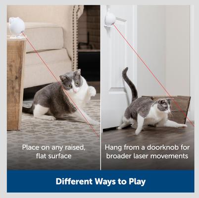 Show full view: PetSafe Dancing Dot Laser Cat Toy slide 4 of 8