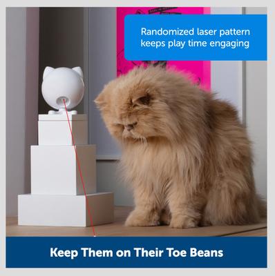 Show full view: PetSafe Dancing Dot Laser Cat Toy slide 6 of 8