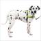 Show in main carousel: PetSafe Deluxe Easy Walk Nylon Reflective No Pull Dog Harness, Apple, Large: 27 to 40-in chest slide 1 of 11