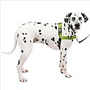 PetSafe Deluxe Easy Walk Nylon Reflective No Pull Dog Harness, Apple, Large: 27 to 40-in chest