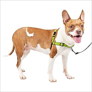 PetSafe Easy Walk Dog Harness