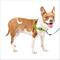 Show in main carousel: PetSafe Deluxe Easy Walk Nylon Reflective No Pull Dog Harness, Apple, Medium: 23 to 33-in chest slide 1 of 11