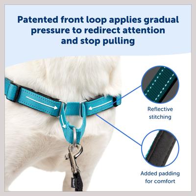 Show full view: PetSafe Deluxe Easy Walk Nylon Reflective No Pull Dog Harness, Apple, Medium: 23 to 33-in chest slide 3 of 11