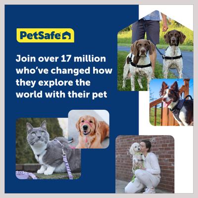 Show full view: PetSafe Deluxe Easy Walk Nylon Reflective No Pull Dog Harness, Apple, Medium: 23 to 33-in chest slide 6 of 11