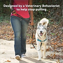 PetSafe Deluxe Easy Walk Nylon Reflective No Pull Dog Harness, Apple, Medium/Large: 24.5 to 34-in chest slide 2 of 8