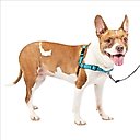 PetSafe Deluxe Easy Walk Nylon Reflective No Pull Dog Harness, Ocean, Medium: 23 to 33-in chest