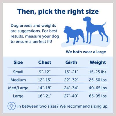 Show full view: PetSafe Deluxe Easy Walk Nylon Reflective No Pull Dog Harness, Ocean, Medium: 23 to 33-in chest slide 5 of 11