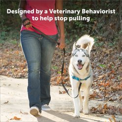 PetSafe Deluxe Easy Walk Nylon Reflective No Pull Dog Harness, Ocean, Medium/Large: 24.5 to 34-in chest slide 2 of 8