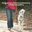 Show in main carousel: PetSafe Deluxe Easy Walk Nylon Reflective No Pull Dog Harness, Ocean, Medium/Large: 24.5 to 34-in chest slide 2 of 11