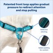 Show in main carousel: PetSafe Deluxe Easy Walk Nylon Reflective No Pull Dog Harness, Ocean, Medium/Large: 24.5 to 34-in chest slide 3 of 11