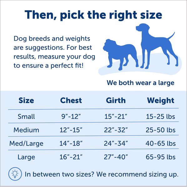 Show full view: PetSafe Deluxe Easy Walk Nylon Reflective No Pull Dog Harness, Ocean, Medium/Large: 24.5 to 34-in chest slide 5 of 11