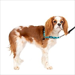 PetSafe Deluxe Easy Walk Nylon Reflective No Pull Dog Harness, Ocean, Small: 15 to 21-in chest