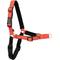 Show in main carousel: PetSafe Deluxe Easy Walk Nylon Reflective No Pull Dog Harness, Rose, Large: 27 to 40-in chest slide 8 of 12