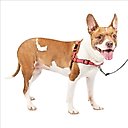 PetSafe Deluxe Easy Walk Nylon Reflective No Pull Dog Harness, Rose, Medium: 23 to 33-in chest