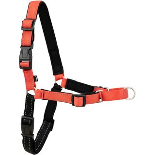 PetSafe Deluxe Easy Walk Nylon Reflective No Pull Dog Harness, Rose, Medium: 23 to 33-in chest slide 7 of 8