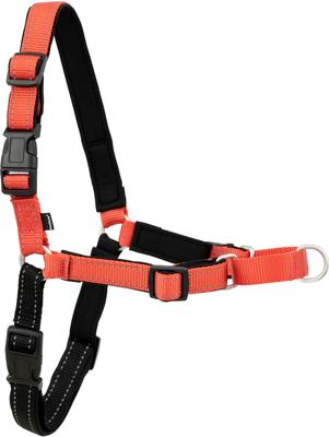 Show full view: PetSafe Deluxe Easy Walk Nylon Reflective No Pull Dog Harness, Rose, Small: 15 to 21-in chest slide 8 of 12
