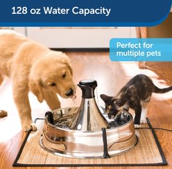 PetSafe Drinkwell 360 Stainless Steel Cat & Dog Water Fountain, 128-oz slide 2 of 9