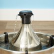 Show in main carousel: PetSafe Drinkwell 360 Stainless Steel Cat & Dog Water Fountain, 128-oz slide 7 of 13