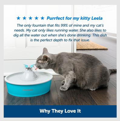 Show full view: PetSafe Drinkwell Butterfly Dog & Cat Drinking Fountain, 50-oz slide 6 of 10