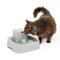 Show in main carousel: PetSafe Drinkwell Dog & Cat Water Fountain, 1/2-gallon + Replacement Carbon Filters, 4 count slide 2 of 9