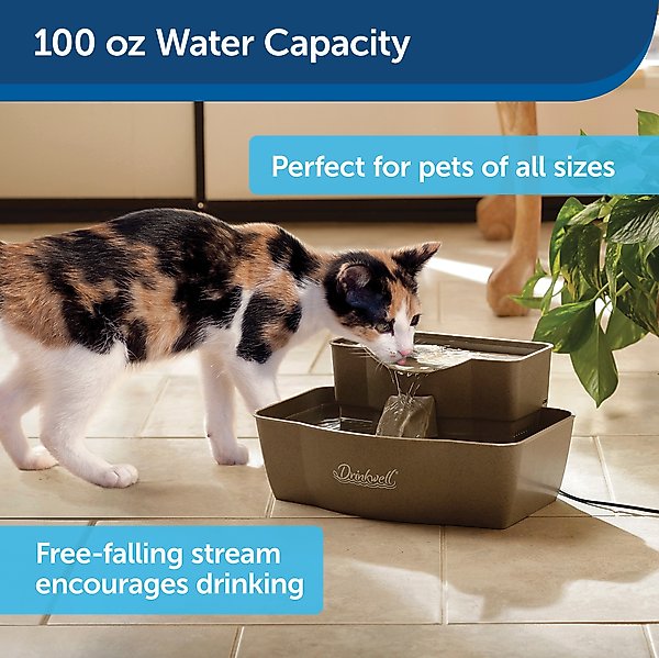 Show full view: PetSafe Drinkwell Multi-Tier Plastic Dog & Cat Fountain, 100-oz + Premium Replacement Carbon Filters, 3 count slide 5 of 9