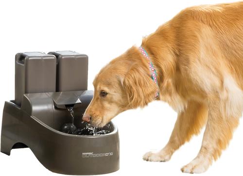 Show full view: PetSafe Drinkwell Outdoor Plastic Dog & Cat Fountain, 450-oz + Premium Replacement Carbon Filters, 3 count slide 2 of 9