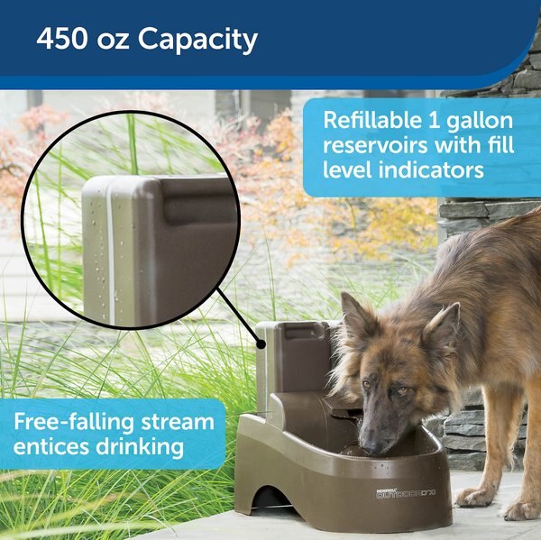 PetSafe Drinkwell Outdoor Plastic Dog & Cat Fountain