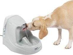 PetSafe Drinkwell Platinum Plastic Dog & Cat Fountain, 168-oz