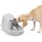 Show in main carousel: PetSafe Drinkwell Platinum Plastic Dog & Cat Fountain, 168-oz slide 1 of 12