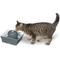 Show in main carousel: PetSafe Drinkwell Seascape Ceramic Dog & Cat Fountain, 70-oz slide 7 of 10
