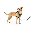 PetSafe Easy Walk Comfort Reflective No Pull Dog Harness, Black, X-Small: 13-19 inches
