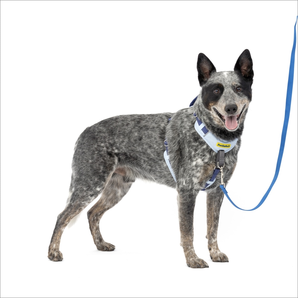 PETSAFE Easy Walk Comfort Reflective No Pull Dog Harness, Blue