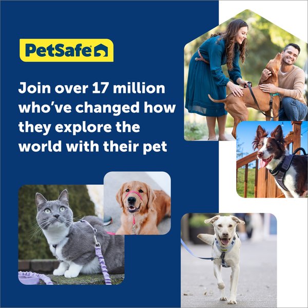 Show full view: PetSafe Easy Walk Comfort Reflective No Pull Dog Harness, Blue, Medium: 24 to 34-in chest slide 7 of 9